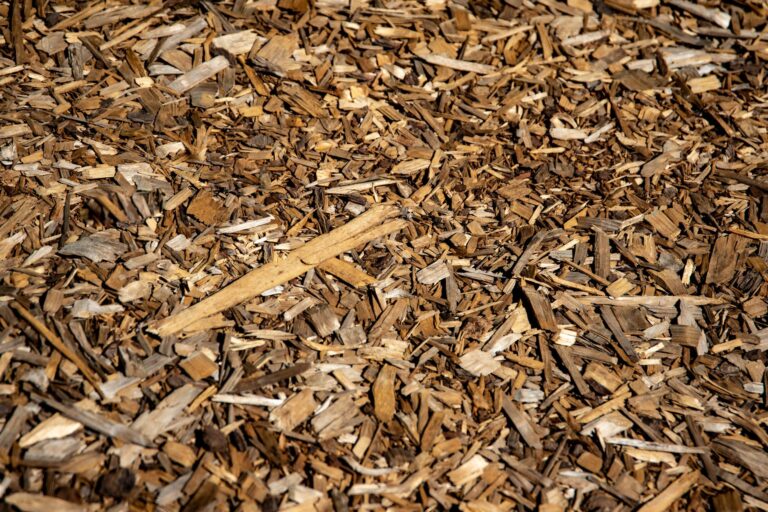 Mulched flower bed