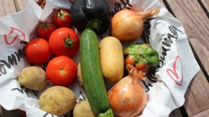 Direct sowing vegetables: practical steps for reliable results in open soil and containers