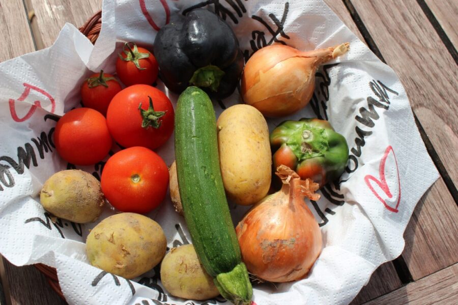 Top view of fresh organic vegetables including tomatoes, onion, and zucchini in a basket.