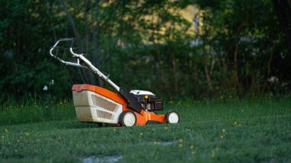Lawn experts reveal the mowing rule that changes everything