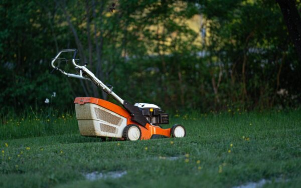 Lawn experts reveal the mowing rule that changes everything