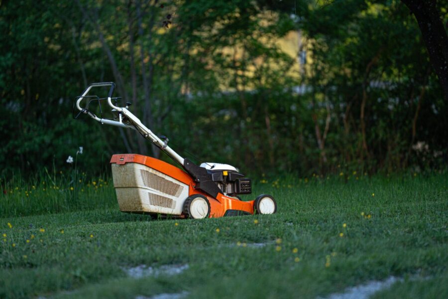 Lawn. Photo by Pexels