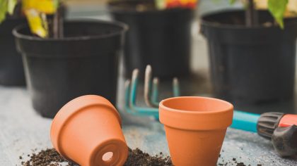 Smart Outdoor Container Gardening: Tips for Beautiful Pots All Season
