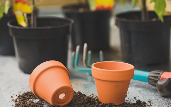 Smart Outdoor Container Gardening: Tips for Beautiful Pots All Season
