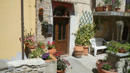 Porch garden ideas that turn an entrance into a green welcome