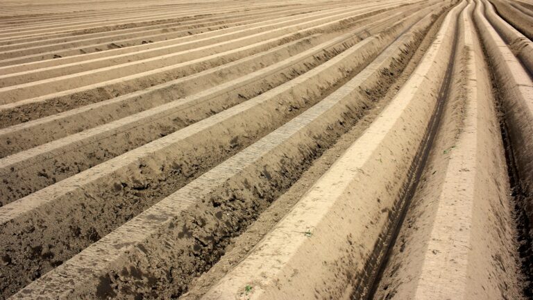 Clay soil close