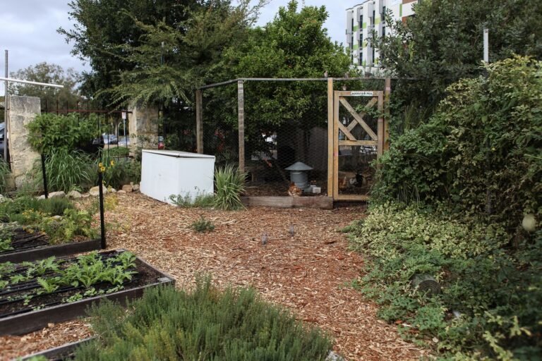 Raised vegetable beds