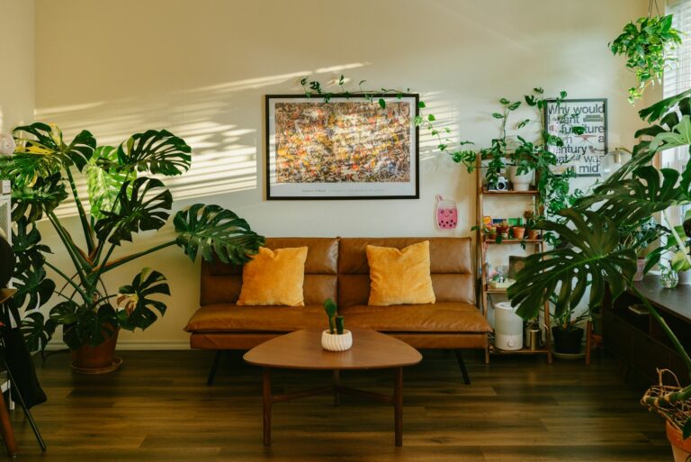 Indoor plant collection