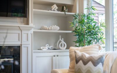 Seasonal indoor plant care: how to adjust watering, potting mix and routines all year
