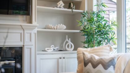 Seasonal indoor plant care: how to adjust watering, potting mix and routines all year