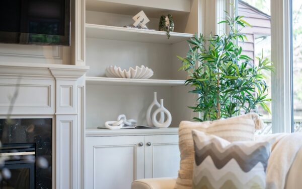 Seasonal indoor plant care: how to adjust watering, potting mix and routines all year