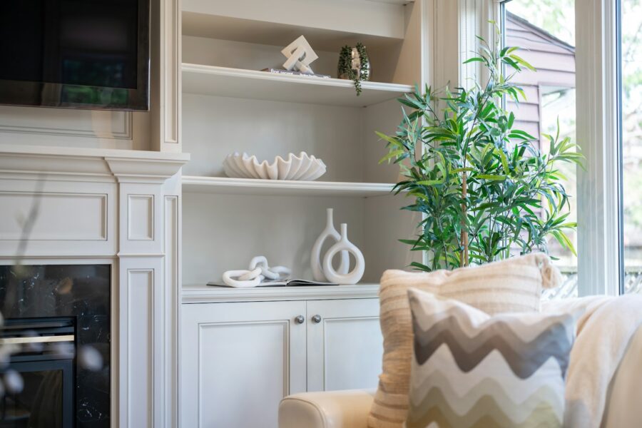 Indoor plant collection