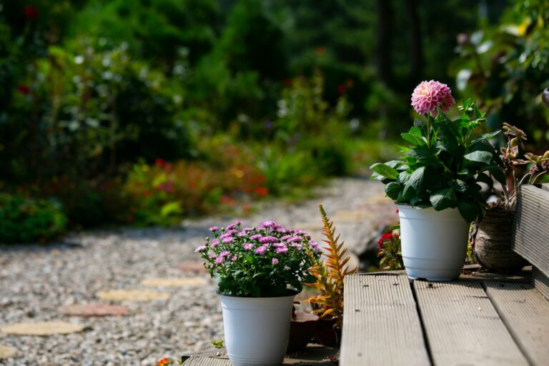 Backyard garden layout