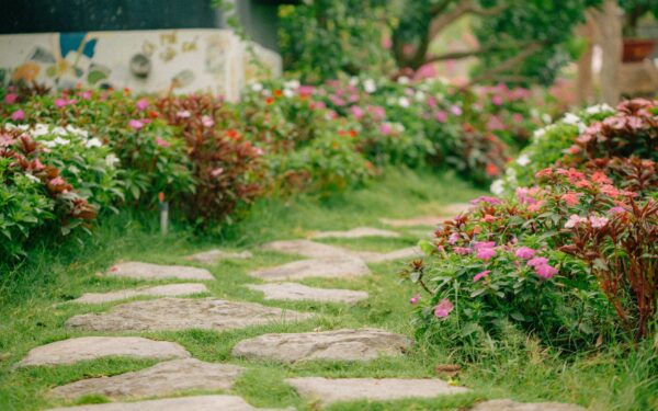 Simple backyard garden layout ideas that make planting feel easy and achievable