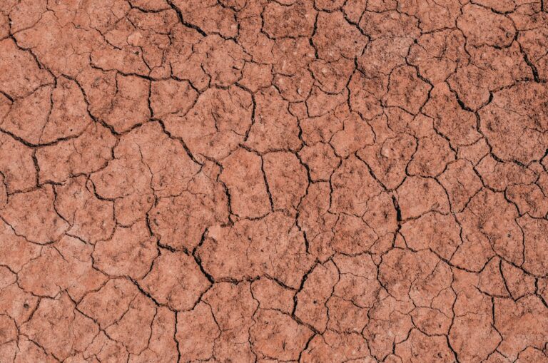 Clay soil close