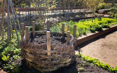 Simple composting tips for beginners who want richer soil with less waste