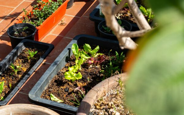 Simple composting tips for small spaces and busy beginners