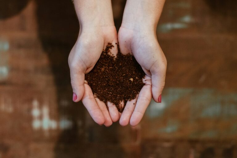 Worm compost bin