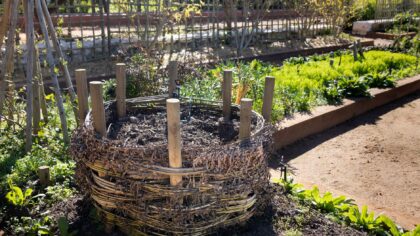 Simple composting tips that turn kitchen scraps into rich soil