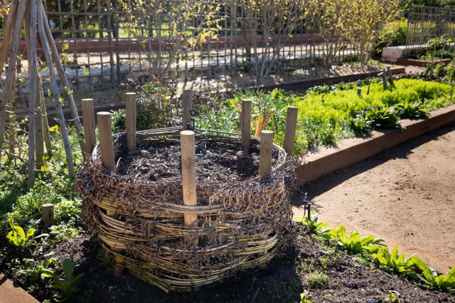 Backyard compost bin