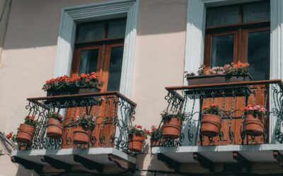 Simple container growing: practical tips for healthy pots on balconies and patios