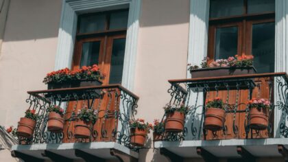 Simple container growing: practical tips for healthy pots on balconies and patios