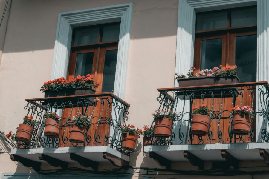 Balcony container plants