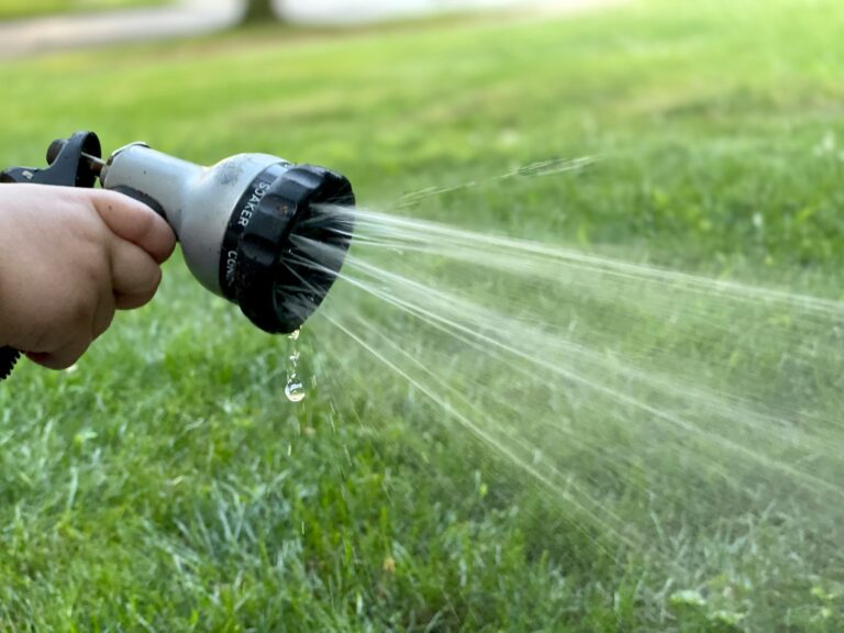 Garden hose filter