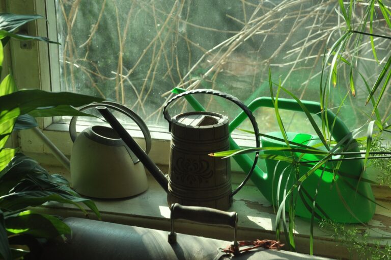 Indoor houseplants shelf