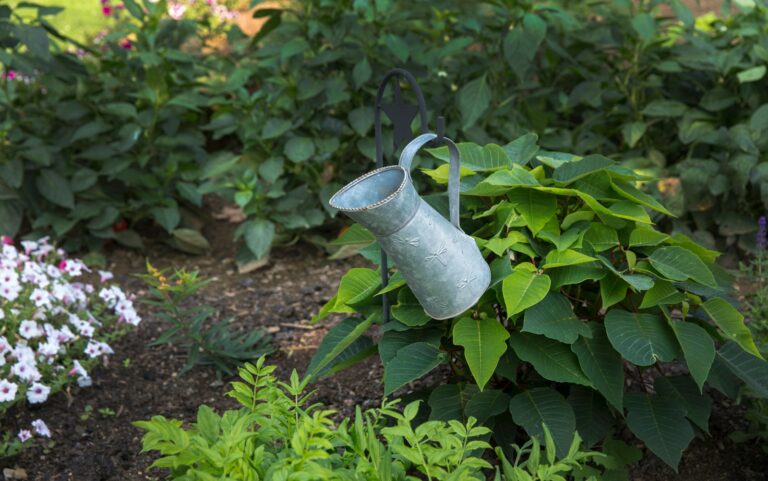 Vegetable bed wood