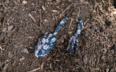 Simple organic matter tricks that quietly transform your garden soil