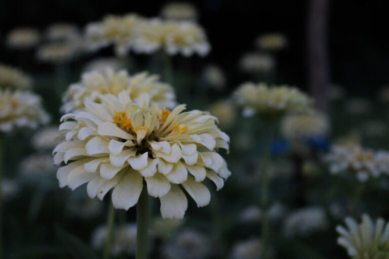 Close gardener pinching