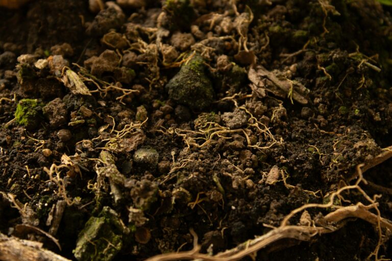 Close soil structure