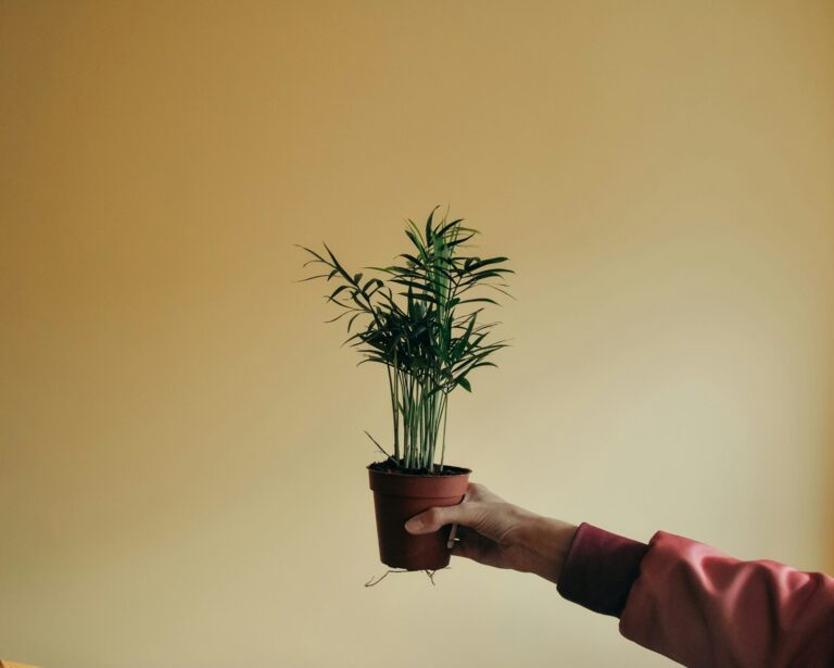 Hand refreshing soil