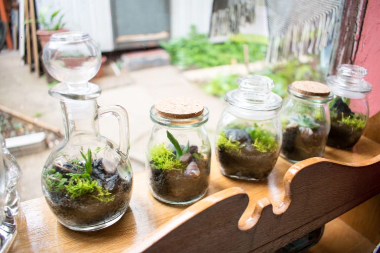 Glass jar soil