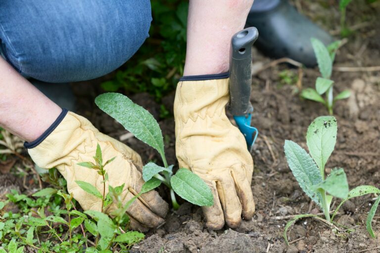 Soil test kit