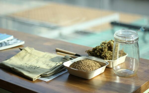 Simple soil testing at home to understand what your plants really need