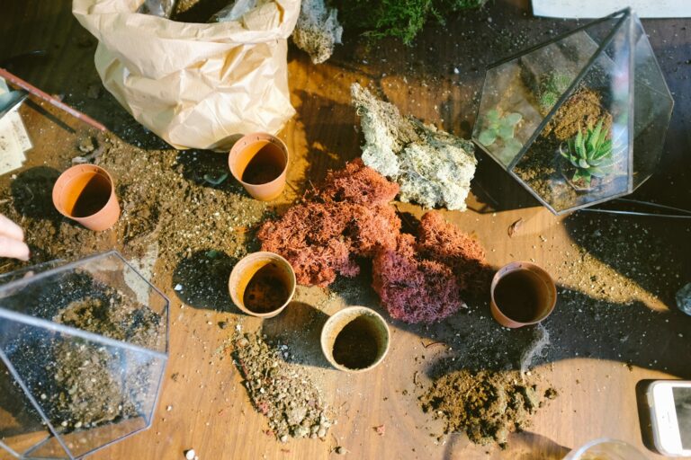 Soil sample jar