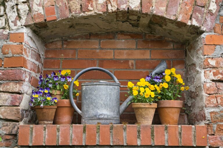 Summer garden watering