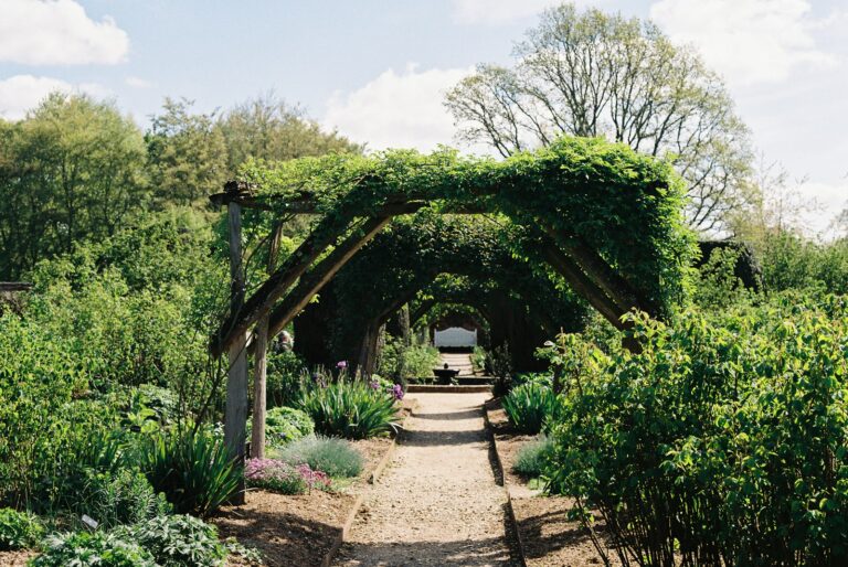 Edible garden path