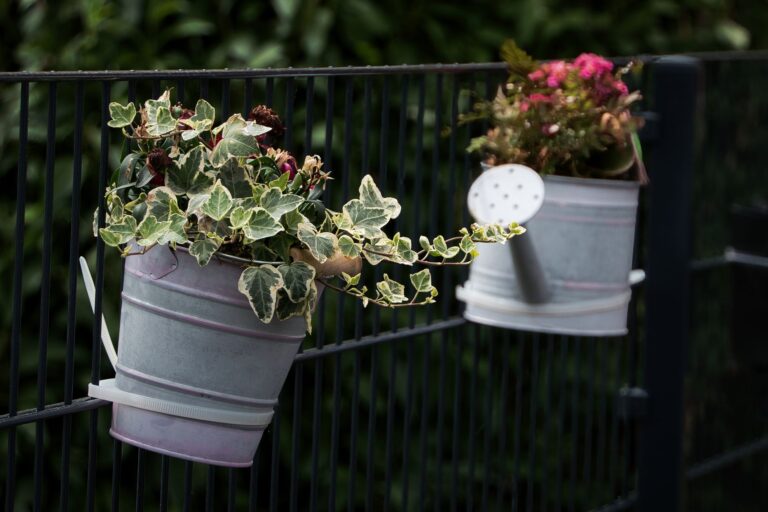 Balcony container plants