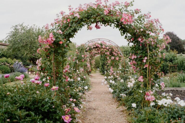 Garden arch climbing