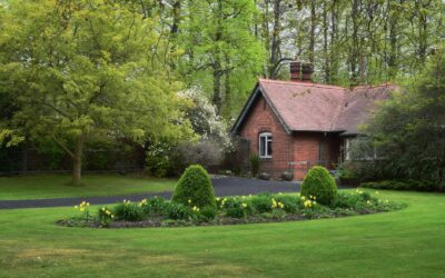 Soft borders with a hard edge: creative garden edging ideas that pull a yard together