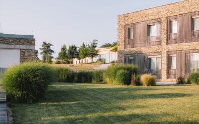 Soft boundaries: natural garden edging ideas that quietly shape your space