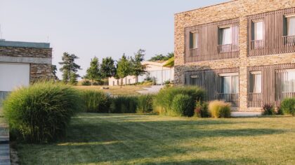 Soft boundaries: natural garden edging ideas that quietly shape your space