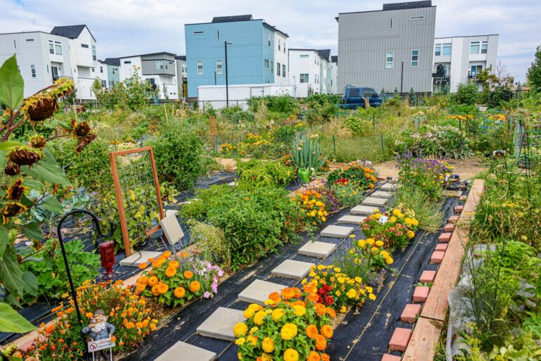 Square foot garden