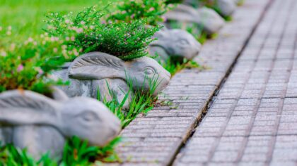 Subtle garden edging ideas that quietly transform your planting