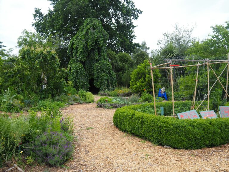 Shade cloth vegetable
