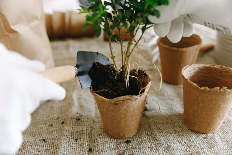 Transplanting plant hand