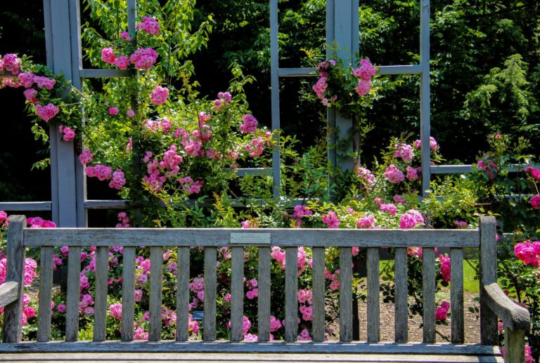 Garden trellis climbing